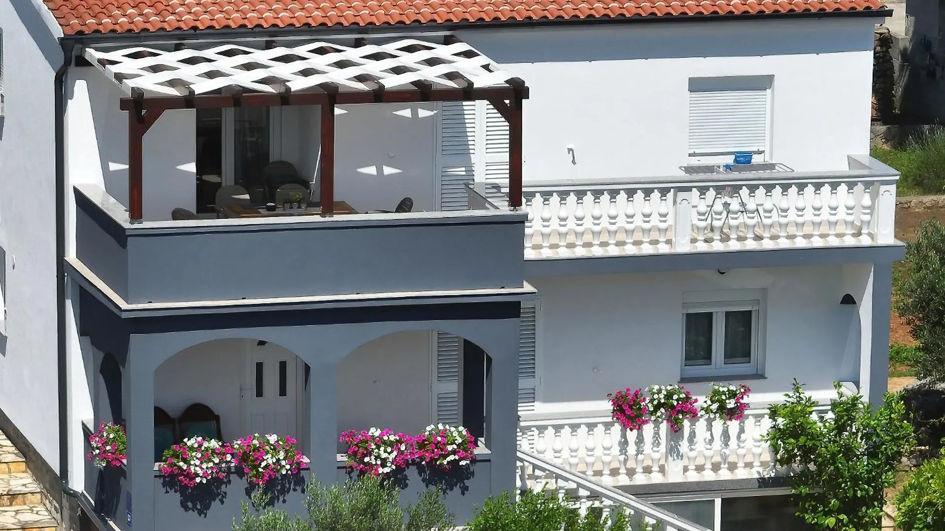 Simaruna Maslenica Kroatien